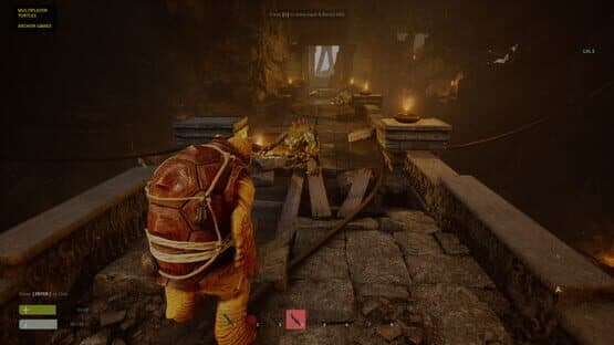 Multiplayer Turtles — screenshot 1