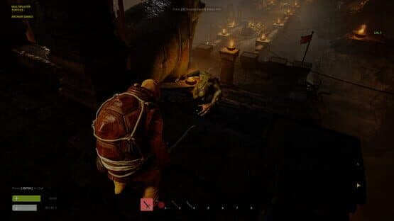Multiplayer Turtles — screenshot 3