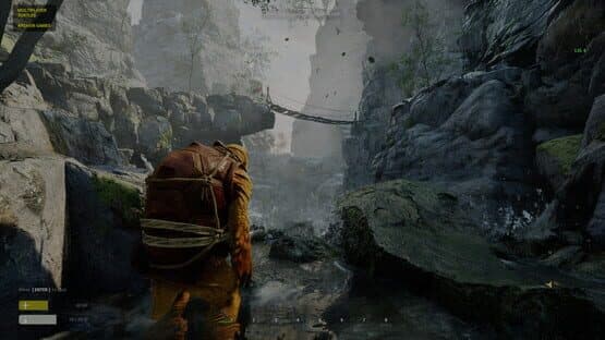 Multiplayer Turtles — screenshot 4