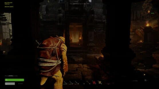 Multiplayer Turtles — screenshot 5