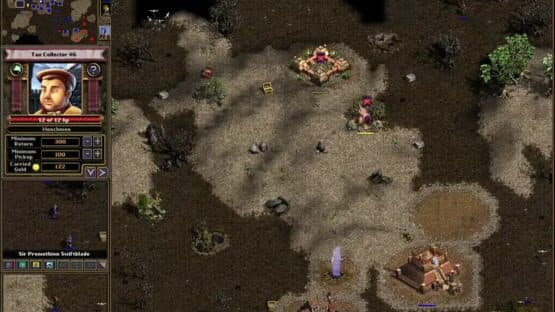 Majesty: The Fantasy Kingdom Sim — screenshot 3