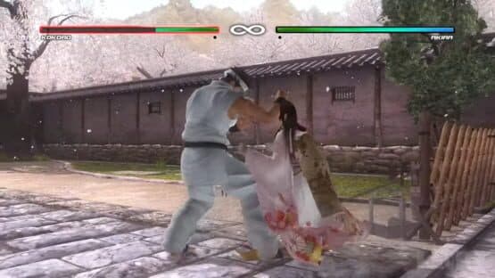Dead or Alive 5: Collector's Edition — screenshot 1