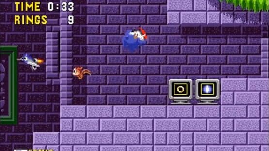 Sonic the Hedgehog — screenshot 2