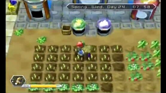 Innocent Life: A Futuristic Harvest Moon - Special Edition — screenshot 3