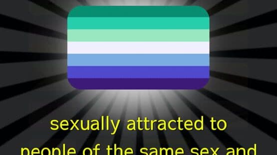 LGBT Flags Merge! — screenshot 2