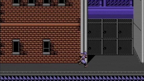 Shadow Warriors — screenshot 1