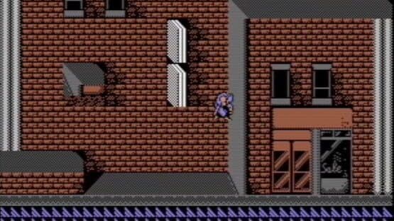 Shadow Warriors — screenshot 3