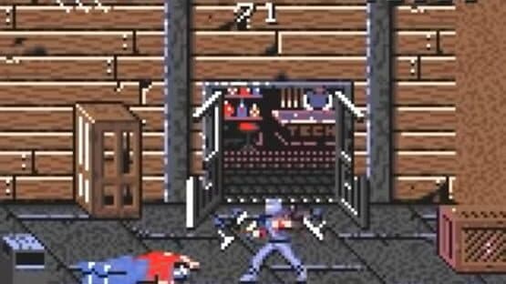 Ninja Gaiden — screenshot 1