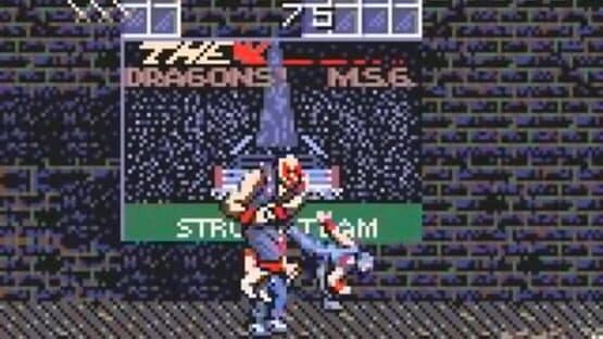 Ninja Gaiden — screenshot 2