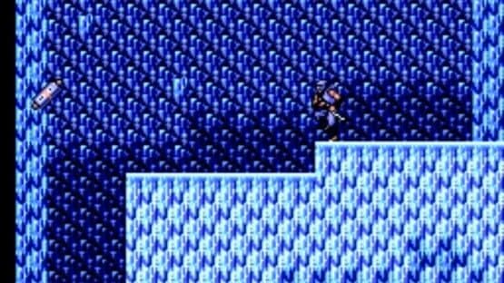 Ninja Gaiden — screenshot 2