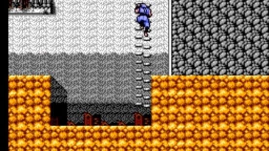 Ninja Gaiden — screenshot 3