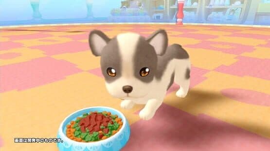 Pups & Purrs Pet Shop — screenshot 2