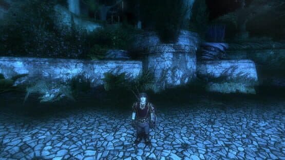 The Lord of the Rings Online: Mithril Edition — screenshot 1