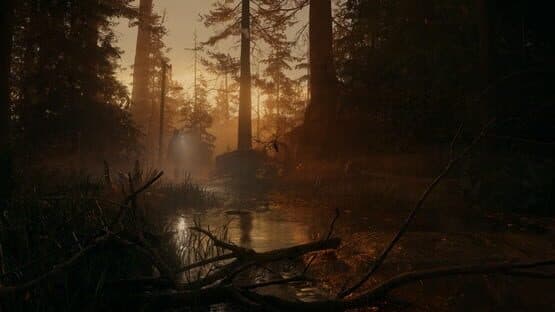 Alan Wake II — screenshot 7