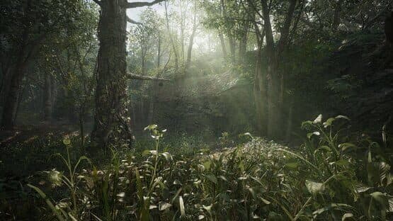 Metal Gear Solid Delta: Snake Eater — screenshot 2
