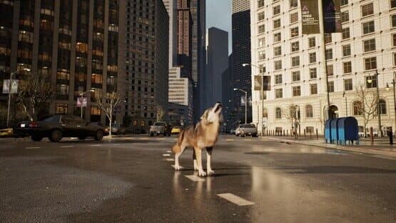 Wolf in the City — screenshot 2
