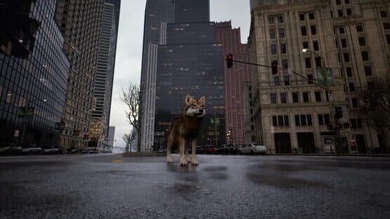 Wolf in the City — screenshot 6