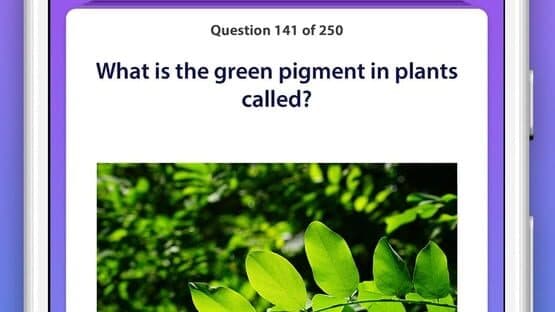 General Knowledge Quiz — screenshot 2