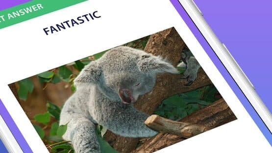 General Knowledge Quiz — screenshot 4
