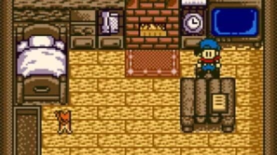 Harvest Moon GBC — screenshot 2
