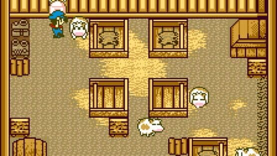 Harvest Moon GBC — screenshot 4