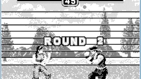 Fighters Megamix — screenshot 1