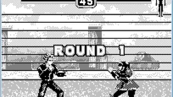 Fighters Megamix — screenshot 2