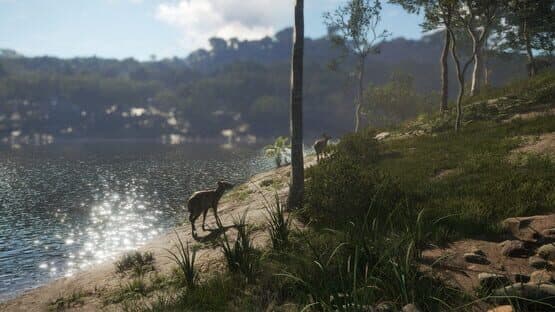 theHunter: Call of the Wild - Emerald Coast Australia — screenshot 5