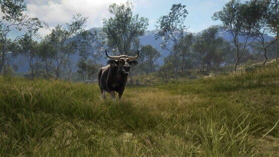 theHunter: Call of the Wild - Emerald Coast Australia — screenshot 7
