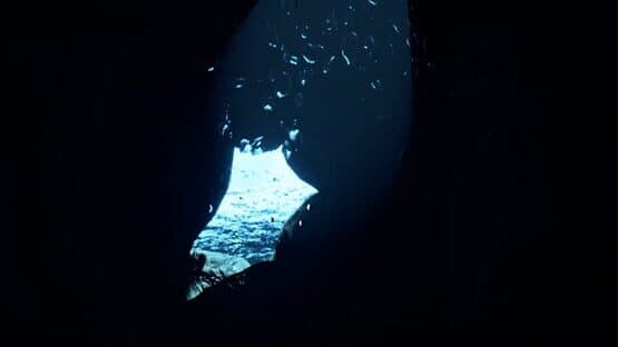 B.O.W II VR — screenshot 4