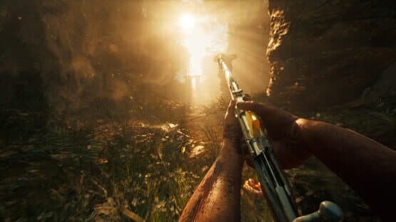Their Land — screenshot 1