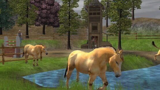 Wildlife Park 2: Horses — screenshot 1