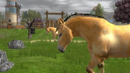 Wildlife Park 2: Horses — screenshot 2