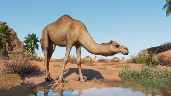 Planet Zoo: Arid Animal Pack — screenshot 1
