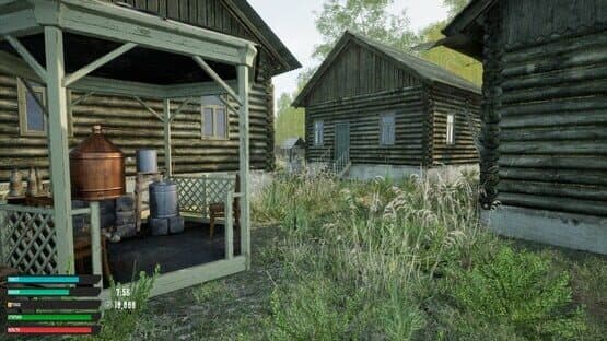 Russian Village Simulator — screenshot 2