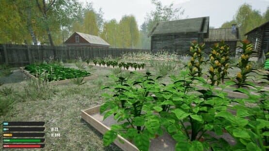 Russian Village Simulator — screenshot 6