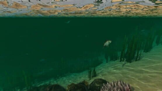 Island Notes — screenshot 5