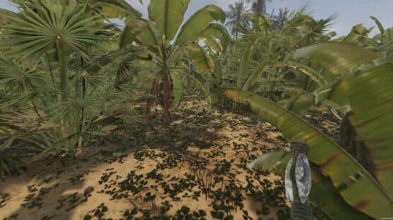 Island Notes — screenshot 6