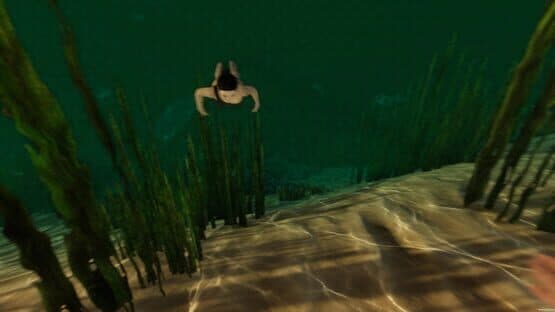 Island Notes — screenshot 8