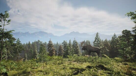 Project Hunt — screenshot 2