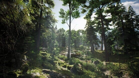 Project Hunt — screenshot 5