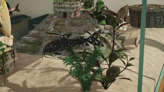 Aquarium Designer: Amazonia — screenshot 2