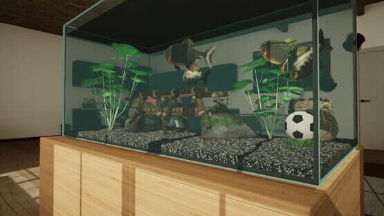 Aquarium Designer: Amazonia — screenshot 8