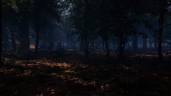 Cecil Hollow — screenshot 5
