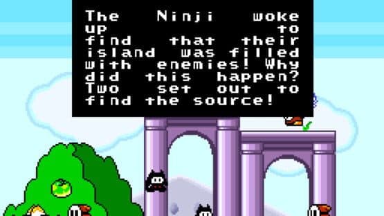 Super Ninji Land — screenshot 3