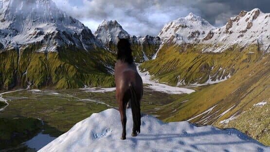 Horse Life: Find Horses in Open World, Survive in Wild Nature as a Foal or Pony — screenshot 1