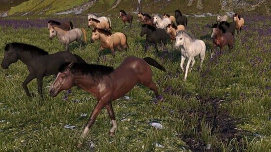 Horse Life: Find Horses in Open World, Survive in Wild Nature as a Foal or Pony — screenshot 2