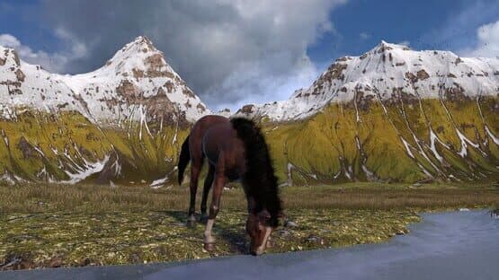 Horse Life: Find Horses in Open World, Survive in Wild Nature as a Foal or Pony — screenshot 3