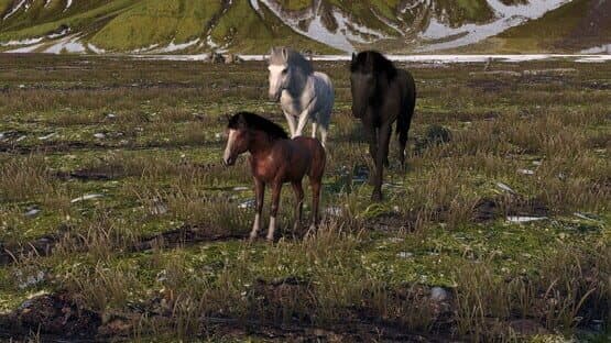 Horse Life: Find Horses in Open World, Survive in Wild Nature as a Foal or Pony — screenshot 4