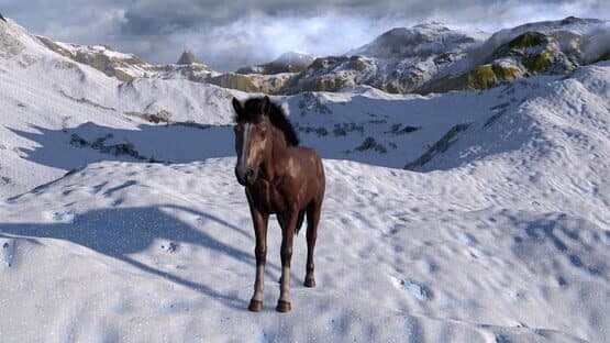 Horse Life: Find Horses in Open World, Survive in Wild Nature as a Foal or Pony — screenshot 5